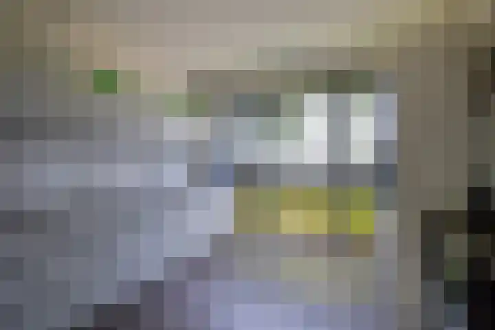 Bloementuinlaan 4 Vleuten thumbnail 19