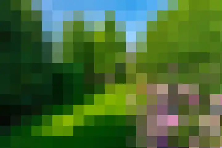 Bloementuinlaan 4 Vleuten thumbnail 29