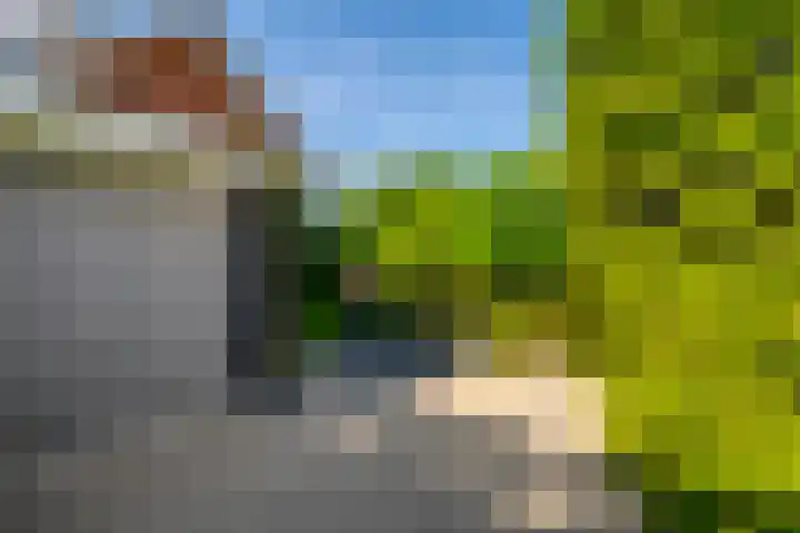 Bloementuinlaan 4 Vleuten thumbnail 31
