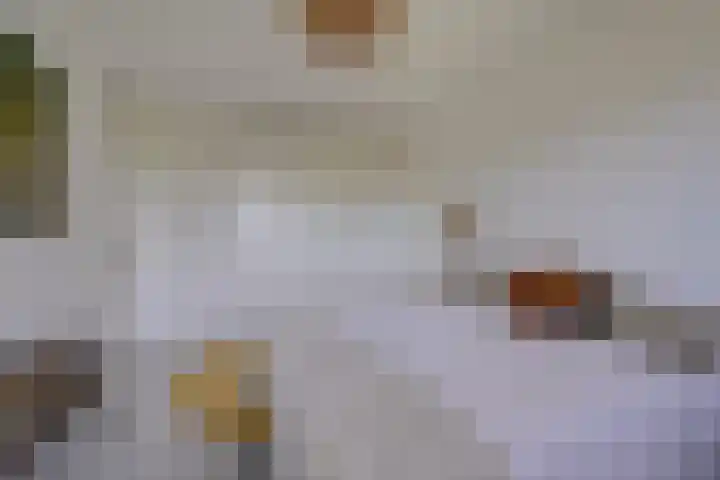 Bloementuinlaan 4 Vleuten thumbnail 37