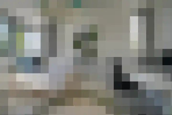 Bloementuinlaan 4 Vleuten thumbnail 39