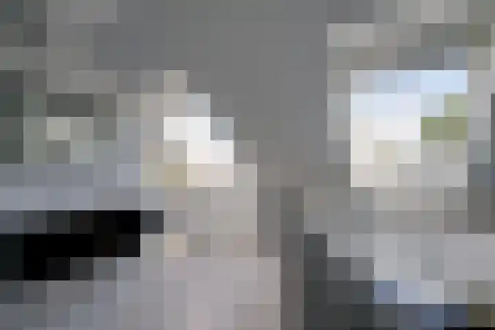 Bloementuinlaan 4 Vleuten thumbnail 49