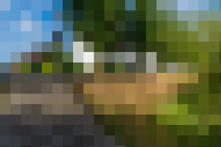 Bloementuinlaan 4 Vleuten thumbnail 56