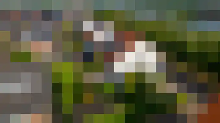 Bloementuinlaan 4 Vleuten thumbnail 60