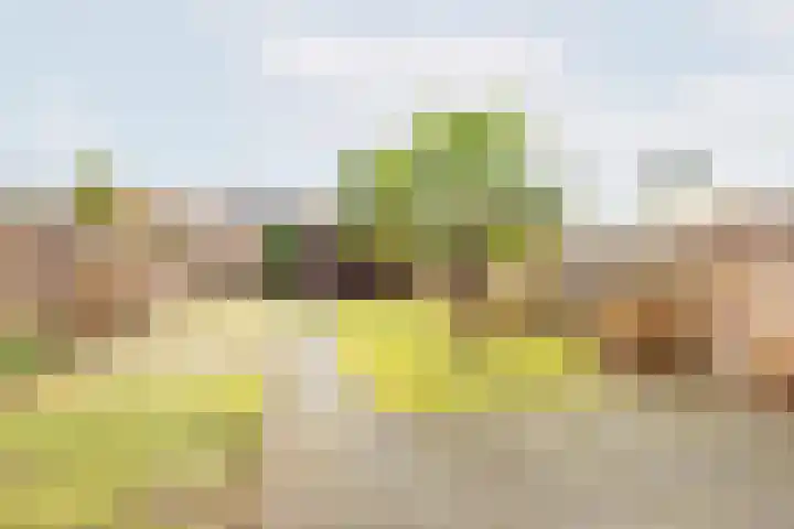 Bloemersweide 75 Gendringen thumbnail 31
