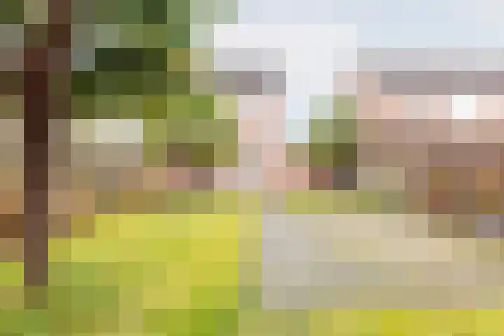 Bloemersweide 75 Gendringen thumbnail 37