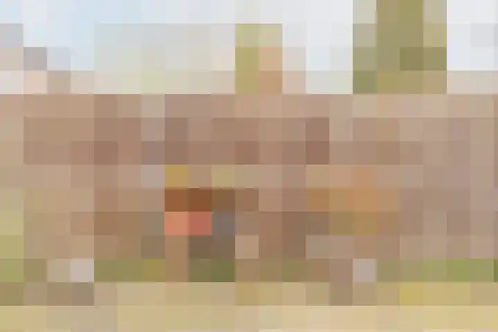 Bloemersweide 75 Gendringen thumbnail 38