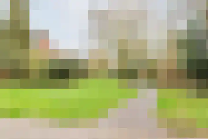 Bloemersweide 75 Gendringen thumbnail 40