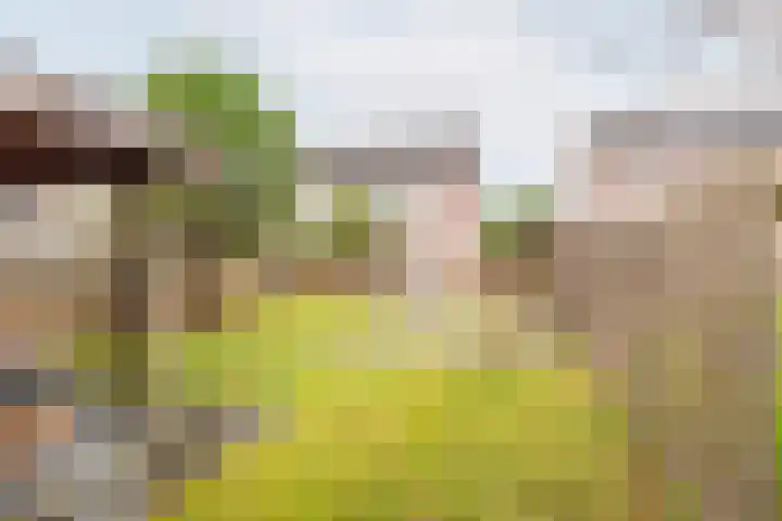 Bloemersweide 75 Gendringen thumbnail 5