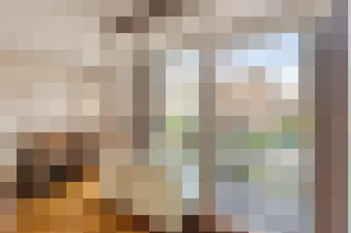 Bloemgaarde 61 Castricum thumbnail 23