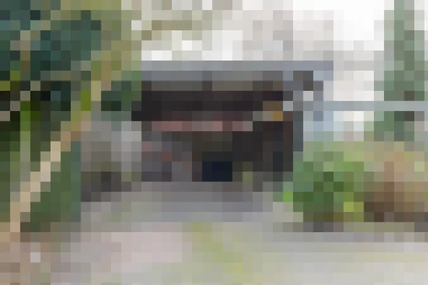 Bloemgaarde 61 Castricum thumbnail 25