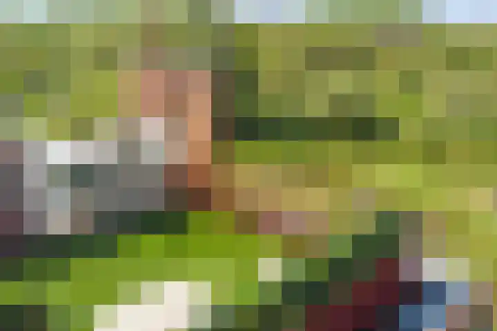 Bloemgaarde 61 Castricum thumbnail 36