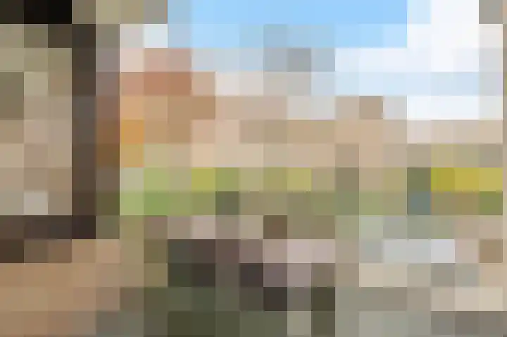 Bloemgaarde 61 Castricum thumbnail 4