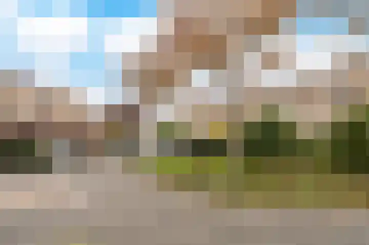 Bloemgaarde 61 Castricum thumbnail 41