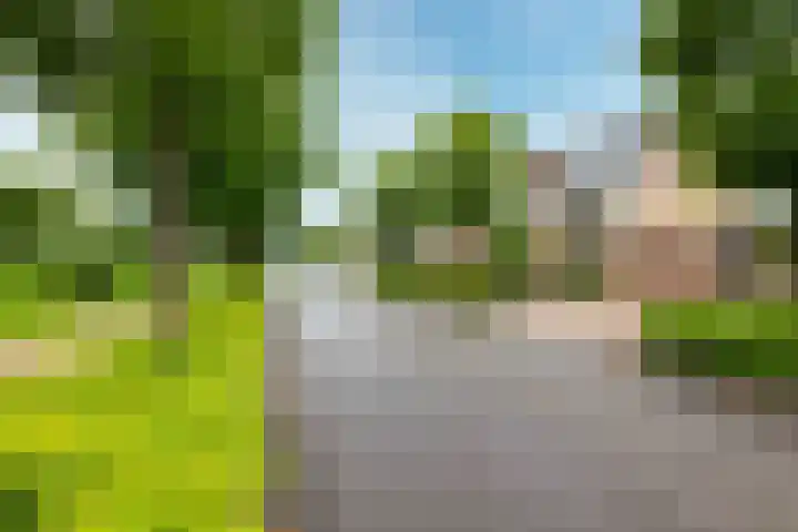 Bloemgaarde 61 Castricum thumbnail 8