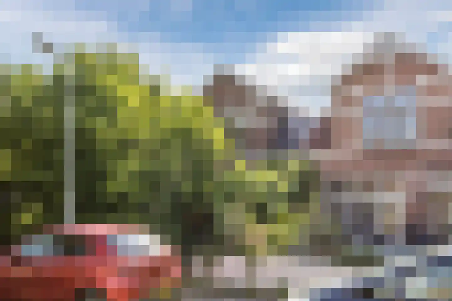 Bloemgracht 20 in Zaandam