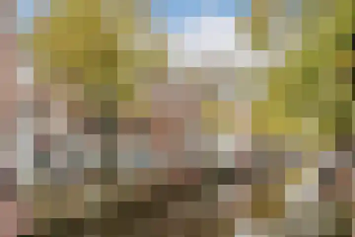 Bloemgracht 61 C in Amsterdam