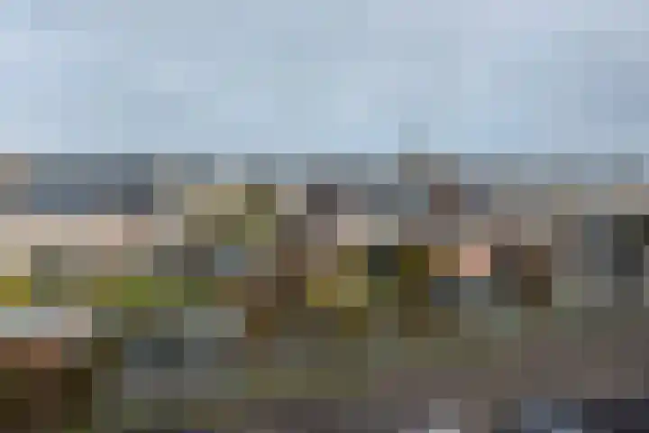 Bloemhaven 23 Vinkeveen thumbnail 24
