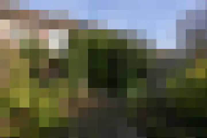 Bloemhof 12 Ede thumbnail 19