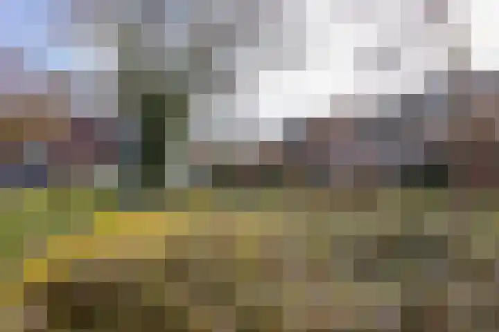 Bloemhof 12 Ede thumbnail 22