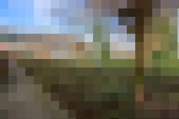 Bloemhof 12 Ede thumbnail 23