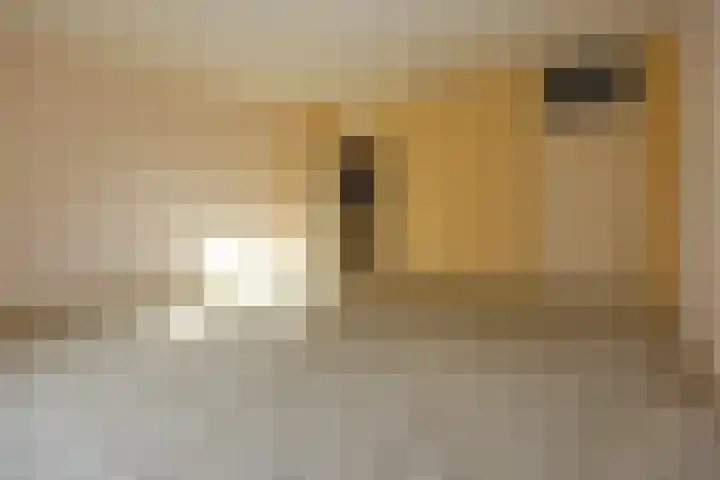 Bloemhof 12 Ede thumbnail 7