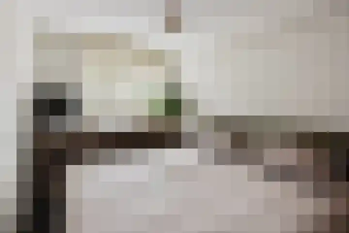 Bloemhof 157 Bussum thumbnail 12