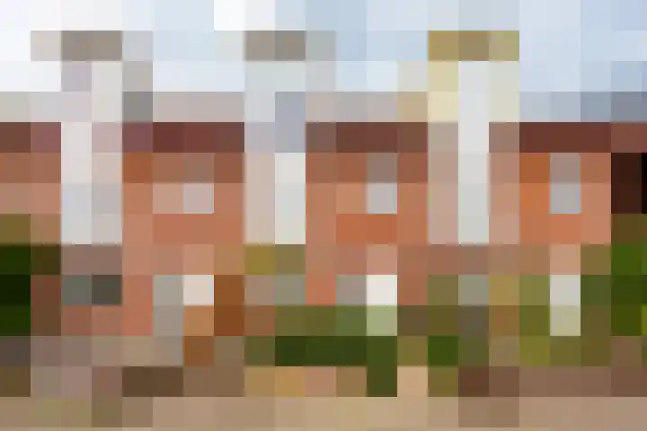 Bloemhof 157 Bussum thumbnail 35