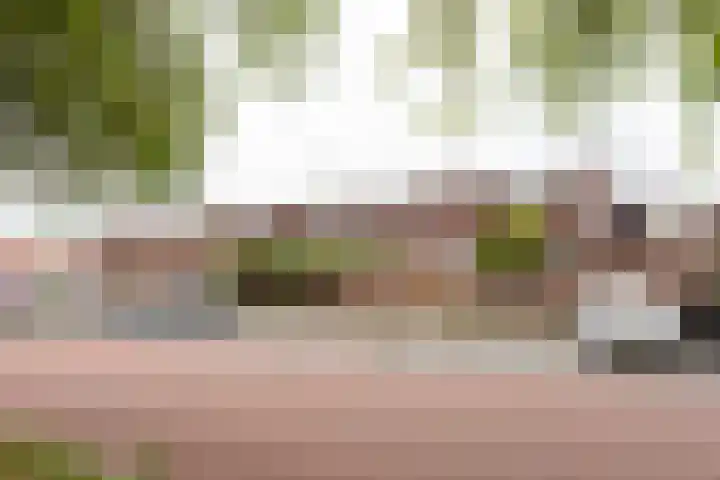 Bloemhof 157 Bussum thumbnail 40
