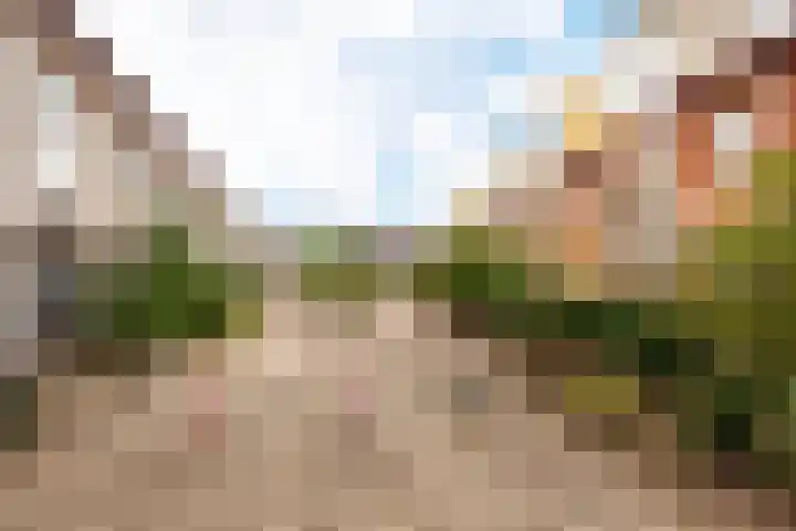 Bloemhof 157 Bussum thumbnail 41