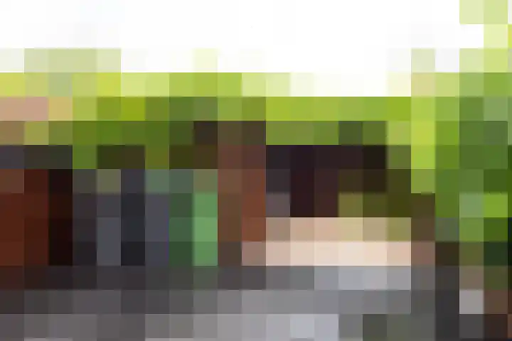 Bloemhof 157 Bussum thumbnail 8