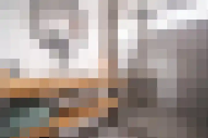 Bloemistenlaan 9 Leiden thumbnail 12