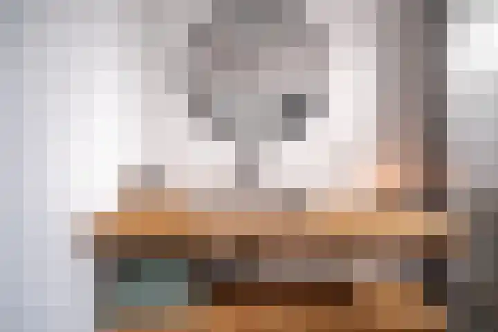 Bloemistenlaan 9 Leiden thumbnail 13