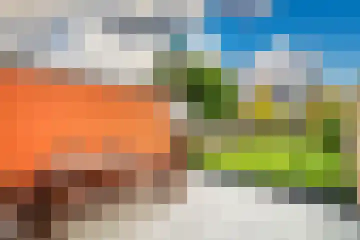 Bloemistenlaan 9 Leiden thumbnail 18