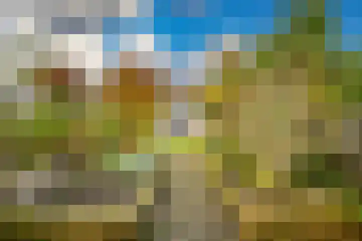 Bloemistenlaan 9 Leiden thumbnail 22