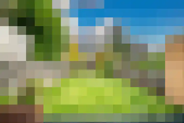 Bloemistenlaan 9 Leiden thumbnail 4