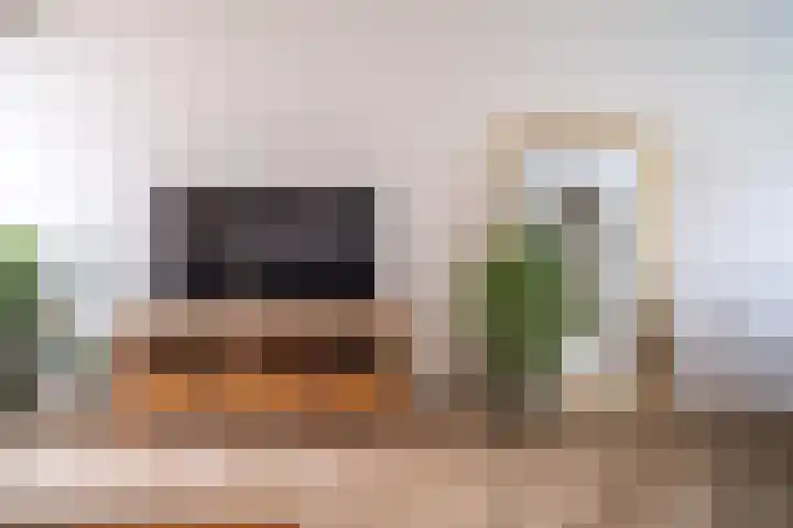 Bloemistenlaan 9 Leiden thumbnail 9