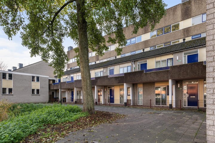 Bloemstede 687 in Maarssen foto