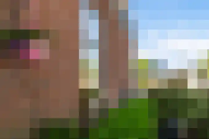 Bloemstraat 20 Sneek thumbnail 38
