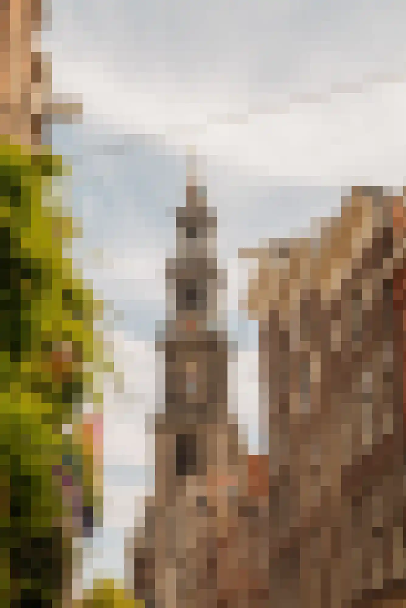 Bloemstraat 65 Amsterdam thumbnail 4