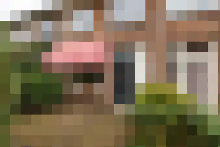 Bloemveldlaan 4 Haarlem