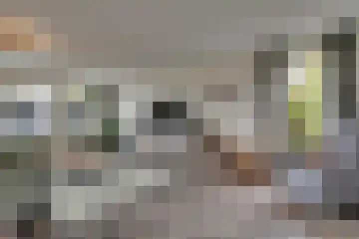 Bloemwilg 2 Brunssum thumbnail 10