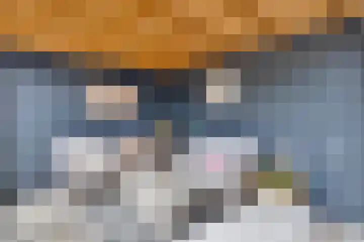 Bloemwilg 2 Brunssum thumbnail 37