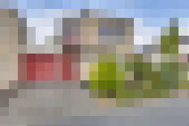 Bloemwilg 2 Brunssum thumbnail 39