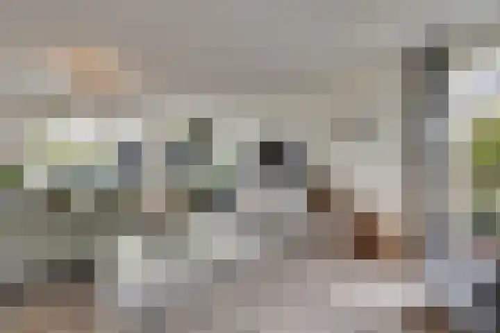Bloemwilg 2 Brunssum thumbnail 8