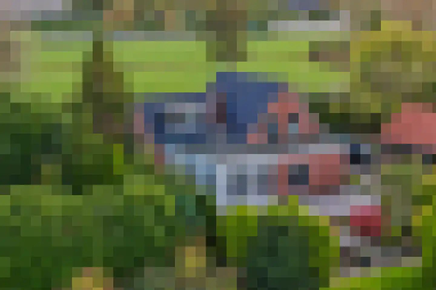 Blokdijk 32 Wijdenes thumbnail 10