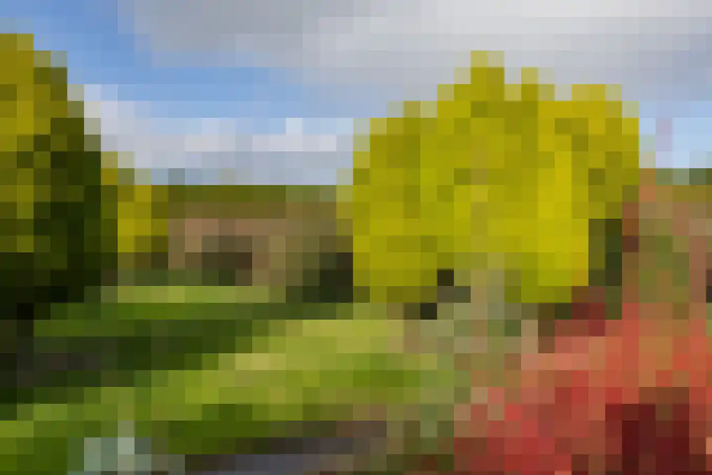 Blokdijk 32 Wijdenes thumbnail 15