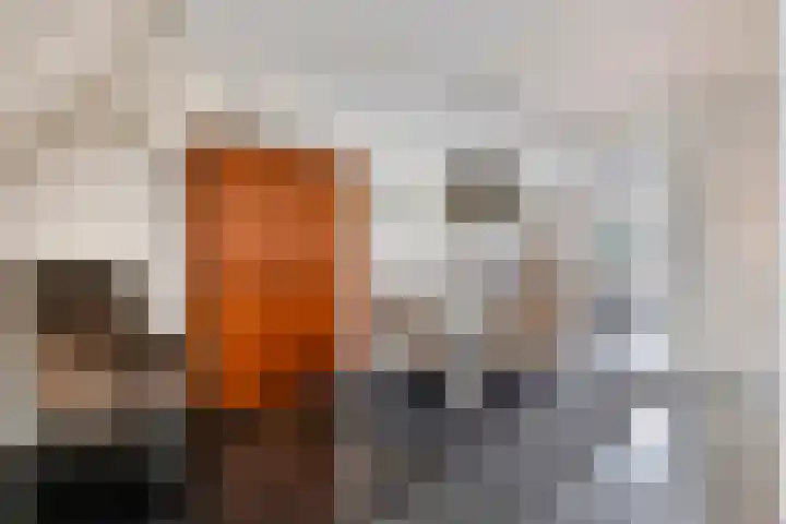 Blokkenweide 13 Chaam thumbnail 10