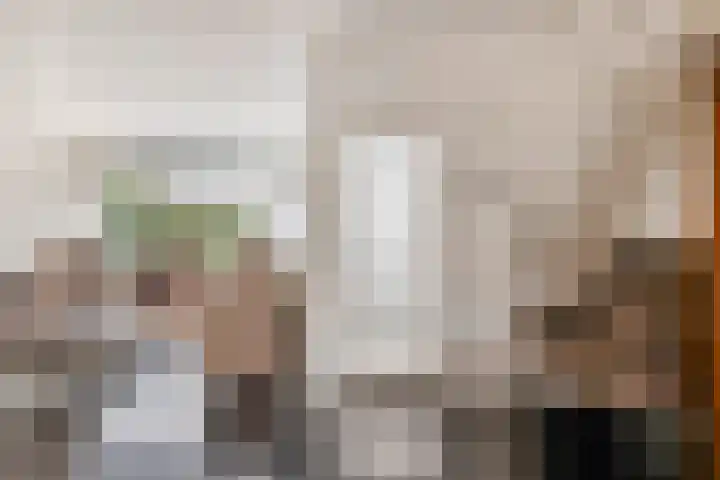 Blokkenweide 13 Chaam thumbnail 11