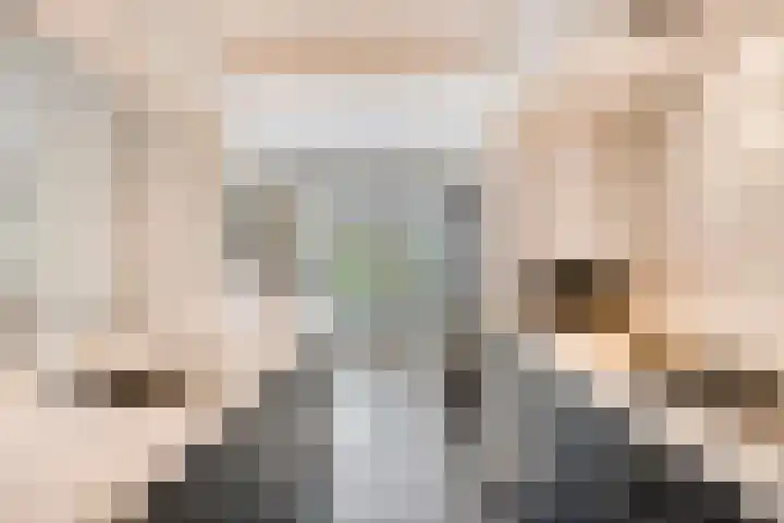 Blokkenweide 13 Chaam thumbnail 14